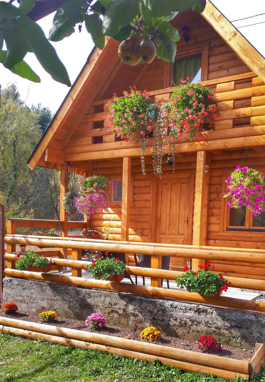 Brvnara Borovik Villa Cetinje Exterior photo